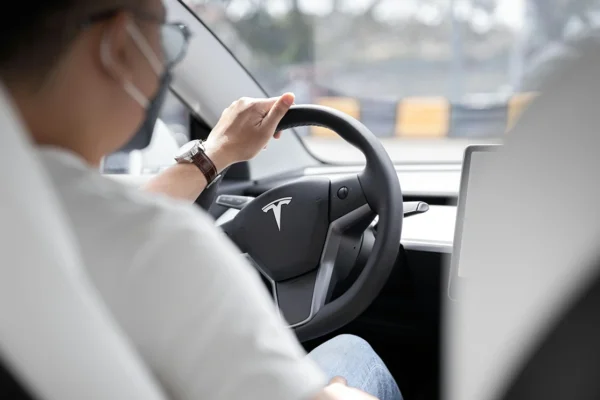 A person driving a tesla with clear views at daylight