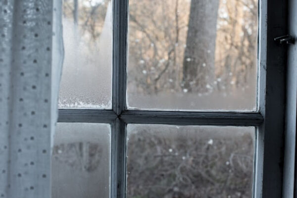 Why More Homeowners in Logan Are Choosing Frosted Window Film